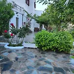 Oasis 3 *