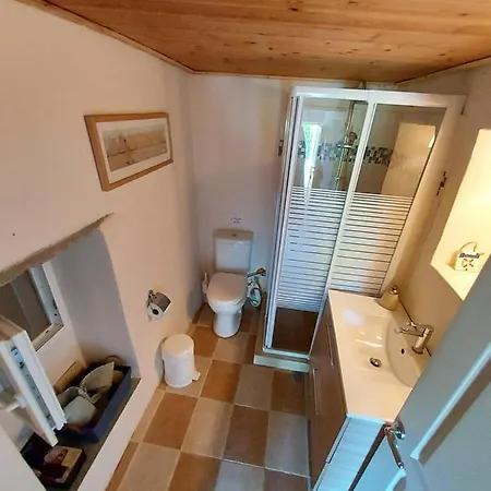 Apartment Oasis 3