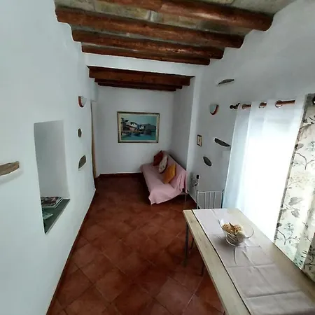 Apartment Oasis 3