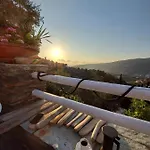 Oasis 3
