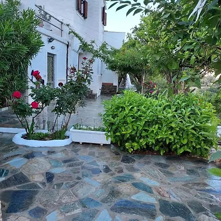 Oasis 3 *