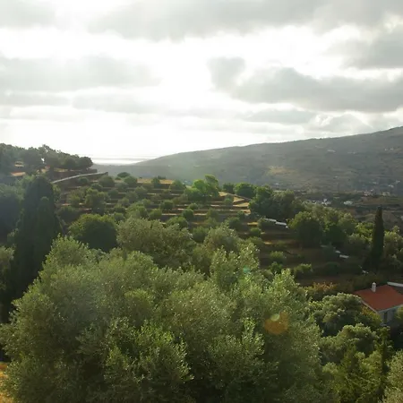 Apartment Green Oasis 3 *