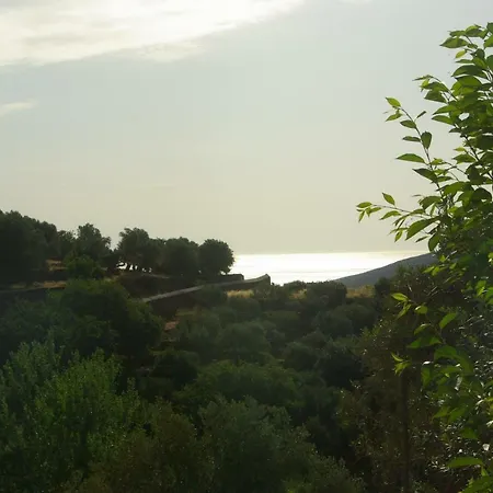 Green Oasis 3 * Lamira