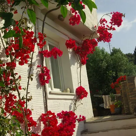 Green Oasis 3 Apartment Lamira