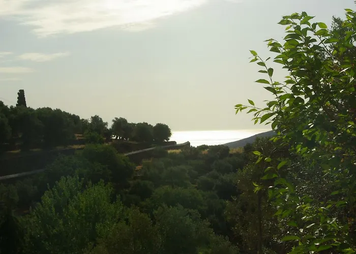 Green Oasis 3 * Lamira