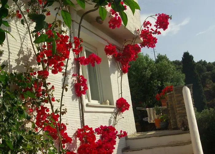 Green Oasis 3 Apartment Lamira